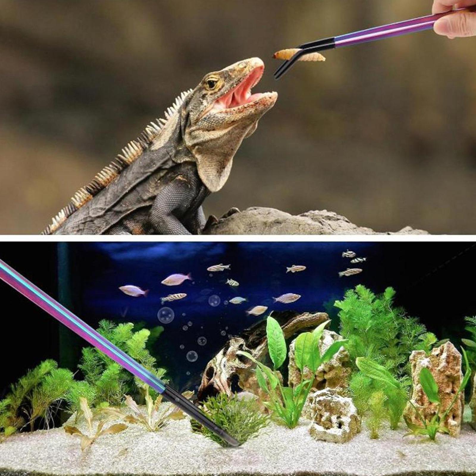 Reptile Feeder Tongs Soft Sili - Feeding Tong Stainless recensie en prijs