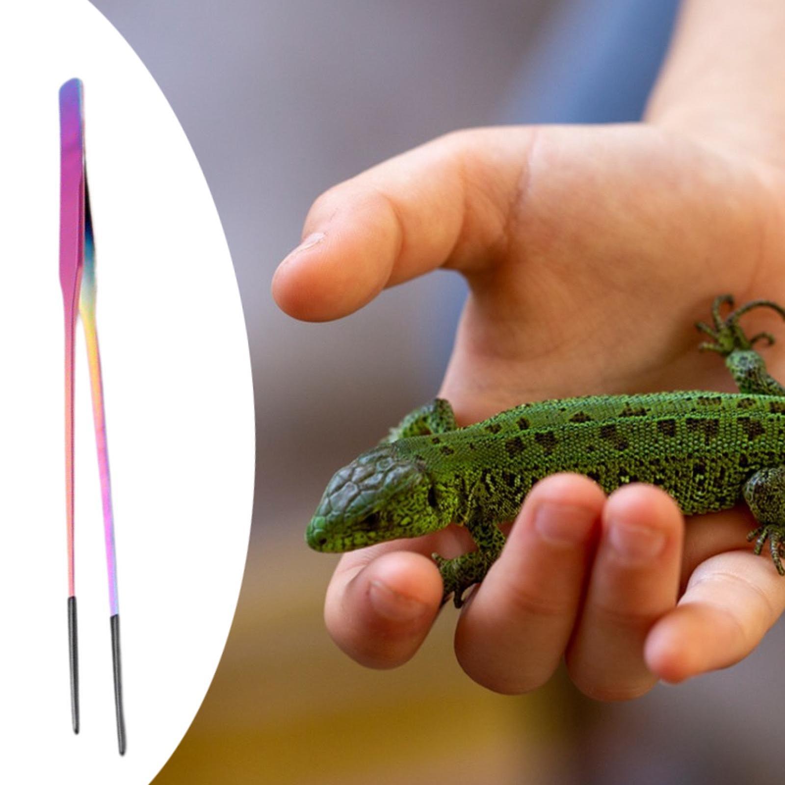 Reptile Feeder Tongs Soft Sili - Feeding Tong Stainless recensie en prijs