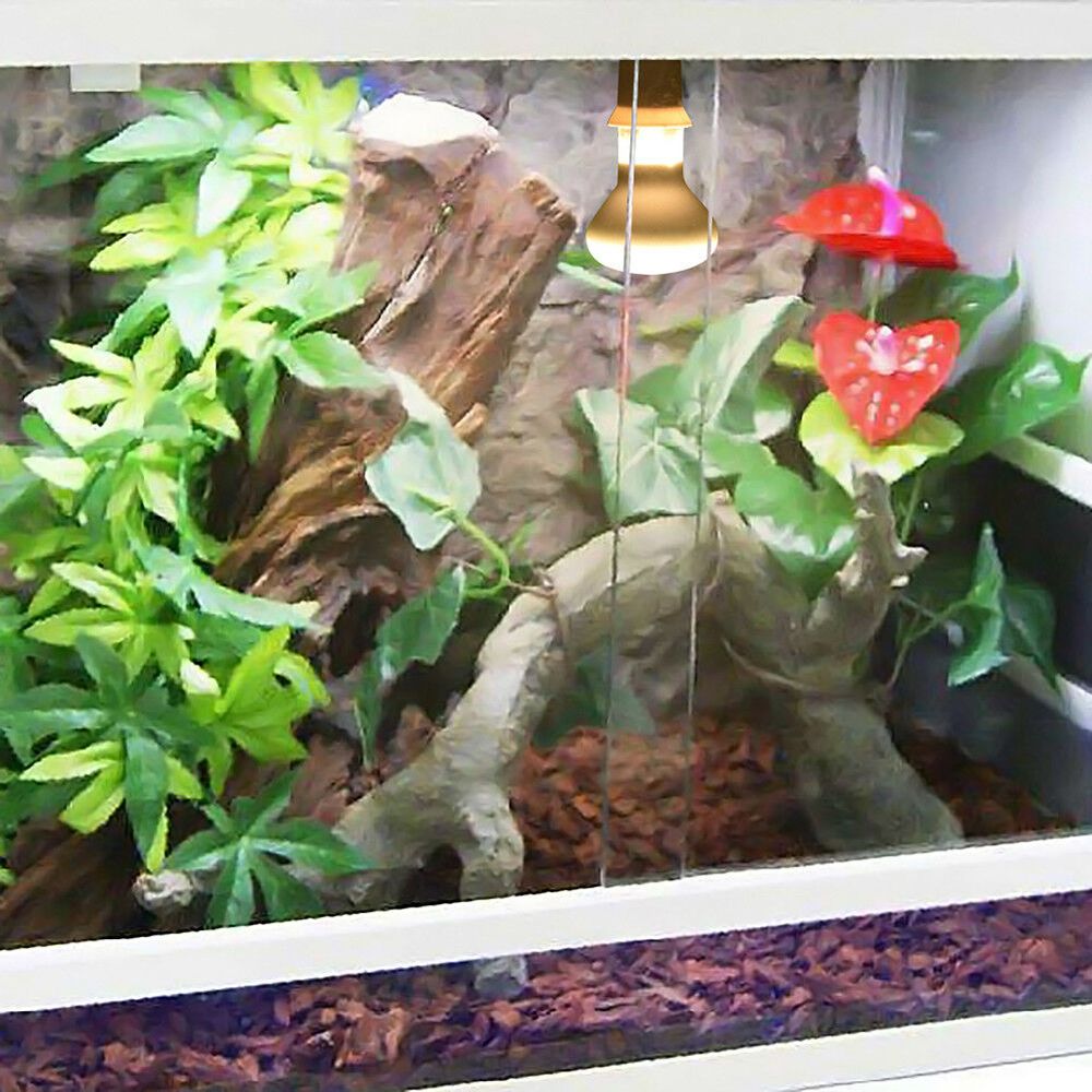 Turtle Temperature Controller  - Basking Bulb Halogen recensie en prijs