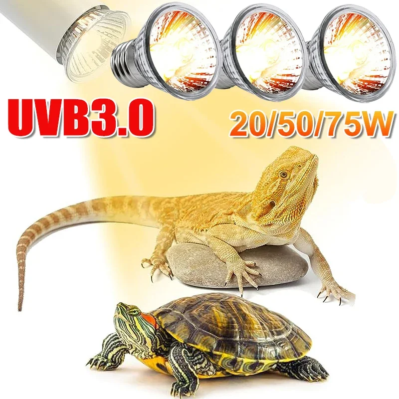 25/50/75W UVB Reptile Lamp Bul - Calcium Powder Reptile recensie en prijs