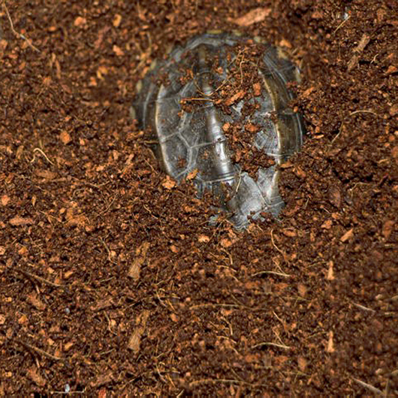 WAJABABY Ready-to-Use Coco Coi - Substrate Coconut Fiber recensie en prijs