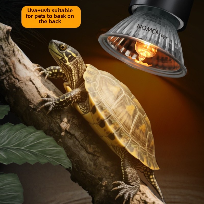 NOMOY 25/50/75w UVB 3.0 Reptil - Vitamin D3 Reptile recensie en prijs
