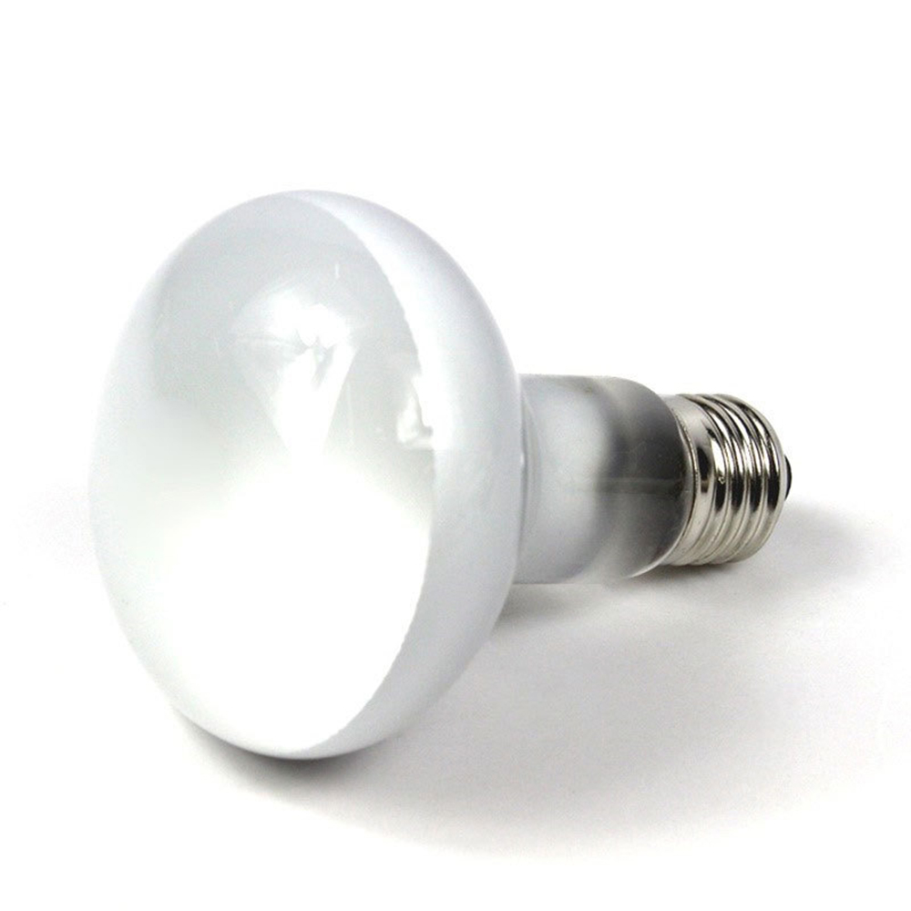 Lizard Heater Temperature Cont - Basking Bulb Halogen recensie en prijs
