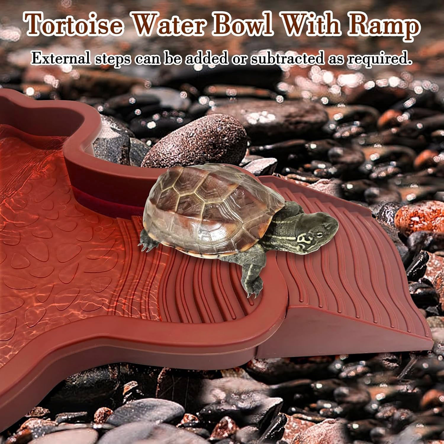 Reptile Bathing Pool with Ramp - Water Dish Reptile recensie en prijs