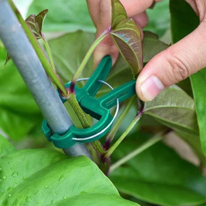 50 Reusable Plant Fixed Clips, - Vine Climbing Plastic recensie en prijs