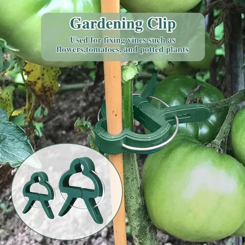 50 Reusable Plant Fixed Clips, - Vine Climbing Plastic recensie en prijs