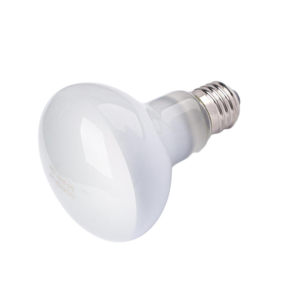 Amphibians Heat Lamp Temperatu - Basking Bulb Halogen recensie en prijs