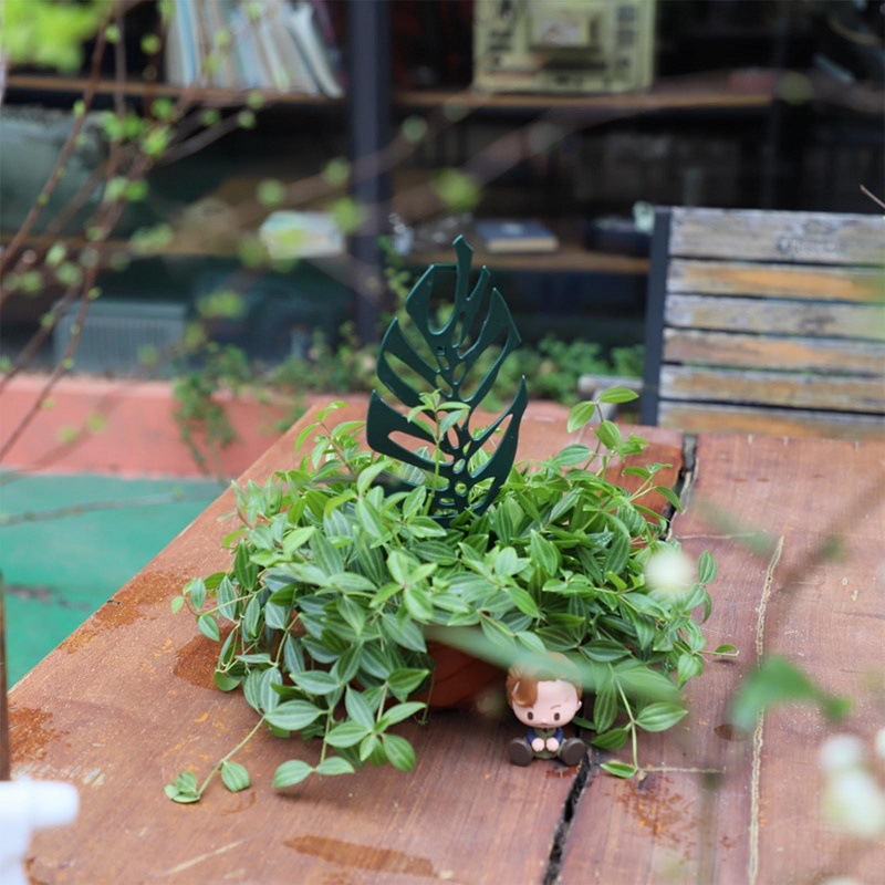 Plant Climbing Support Stand F - Vine Climbing Plastic recensie en prijs
