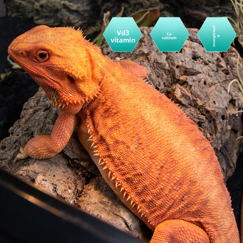 SuperRep Reptile Calcium Pro-V - Vitamin D3 Reptile recensie en prijs