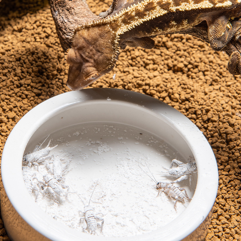 SuperRep Reptile Calcium Pro-V - Vitamin D3 Reptile recensie en prijs
