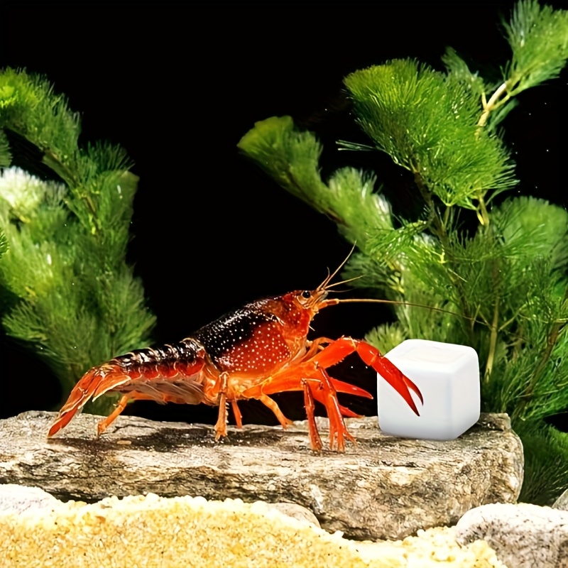 6 Pcs Fish Tank Calcium Block  - Calcium Powder Reptile recensie en prijs