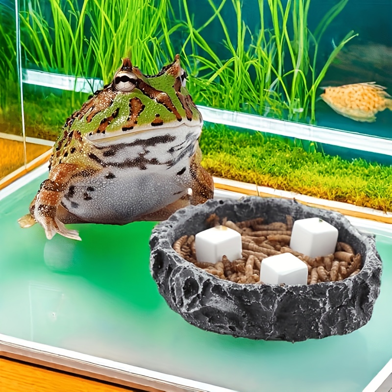 6 Pcs Fish Tank Calcium Block  - Calcium Powder Reptile recensie en prijs