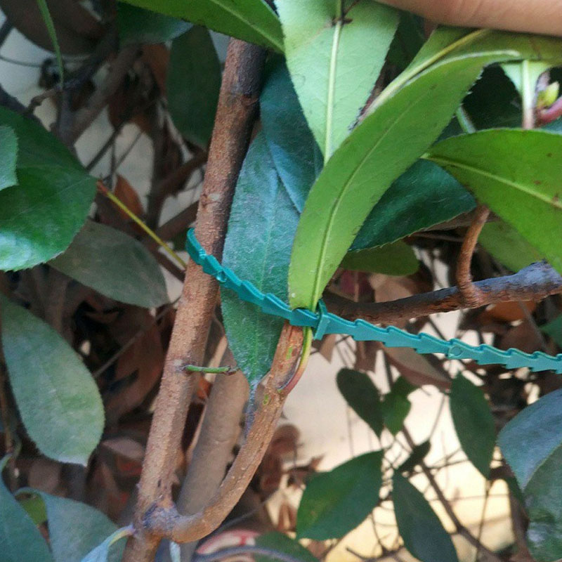 13cm Adjustable Plastic Plant  - Vine Climbing Plastic recensie en prijs