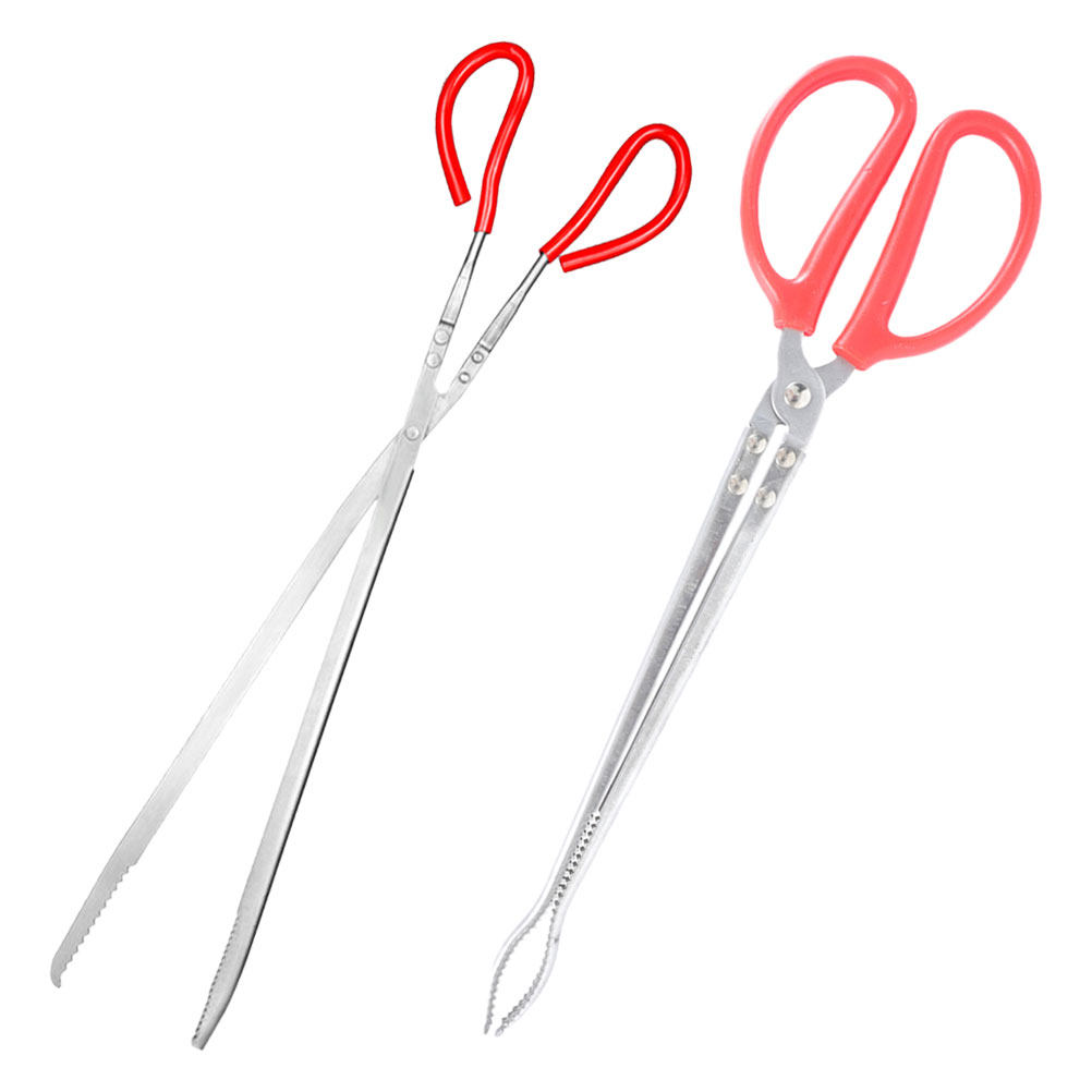 2Pcs Stainless Steel Snake Ton - Feeding Tong Stainless recensie en prijs