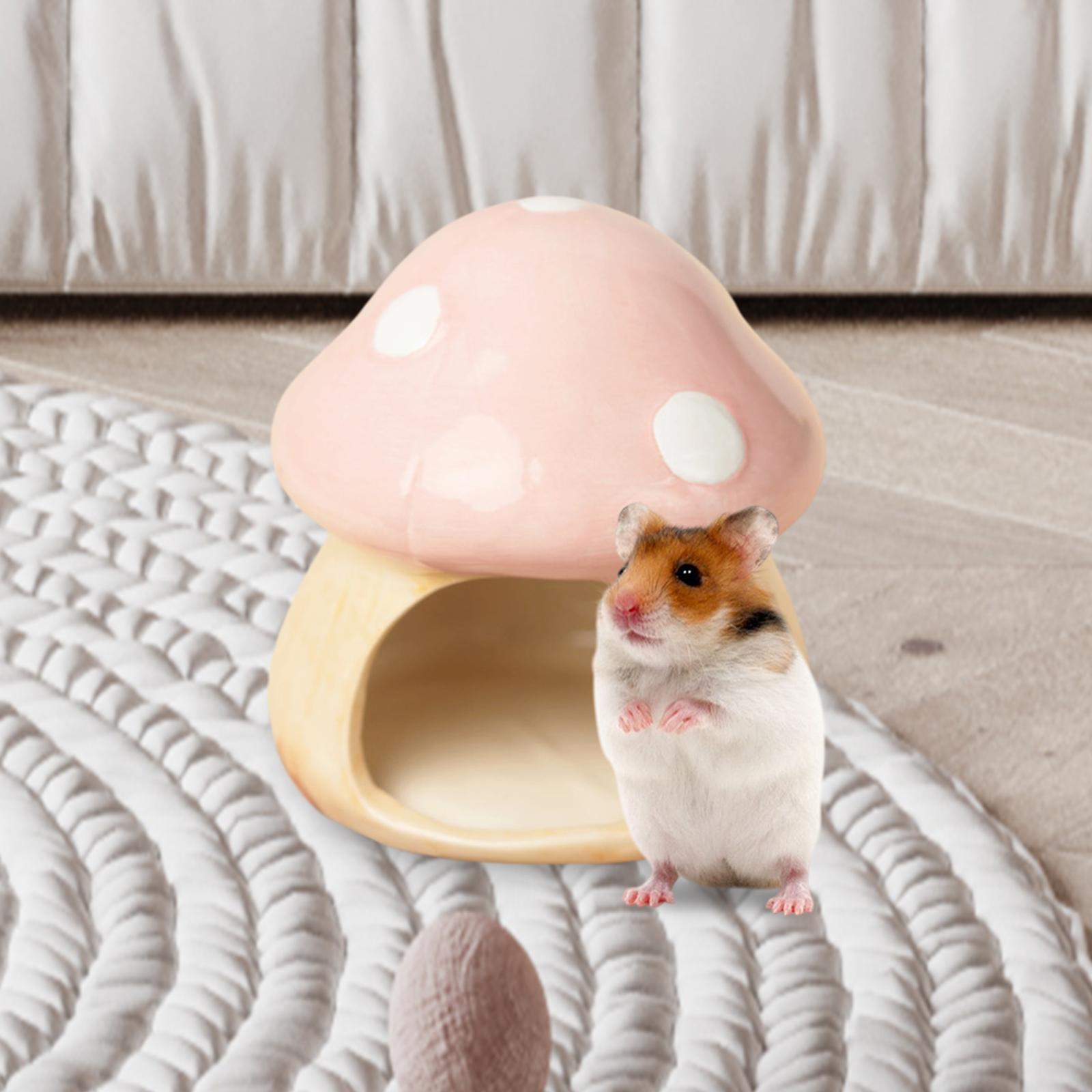 Ceramic Mushroom Hamster Hideo - Hide Cave Ceramic recensie en prijs