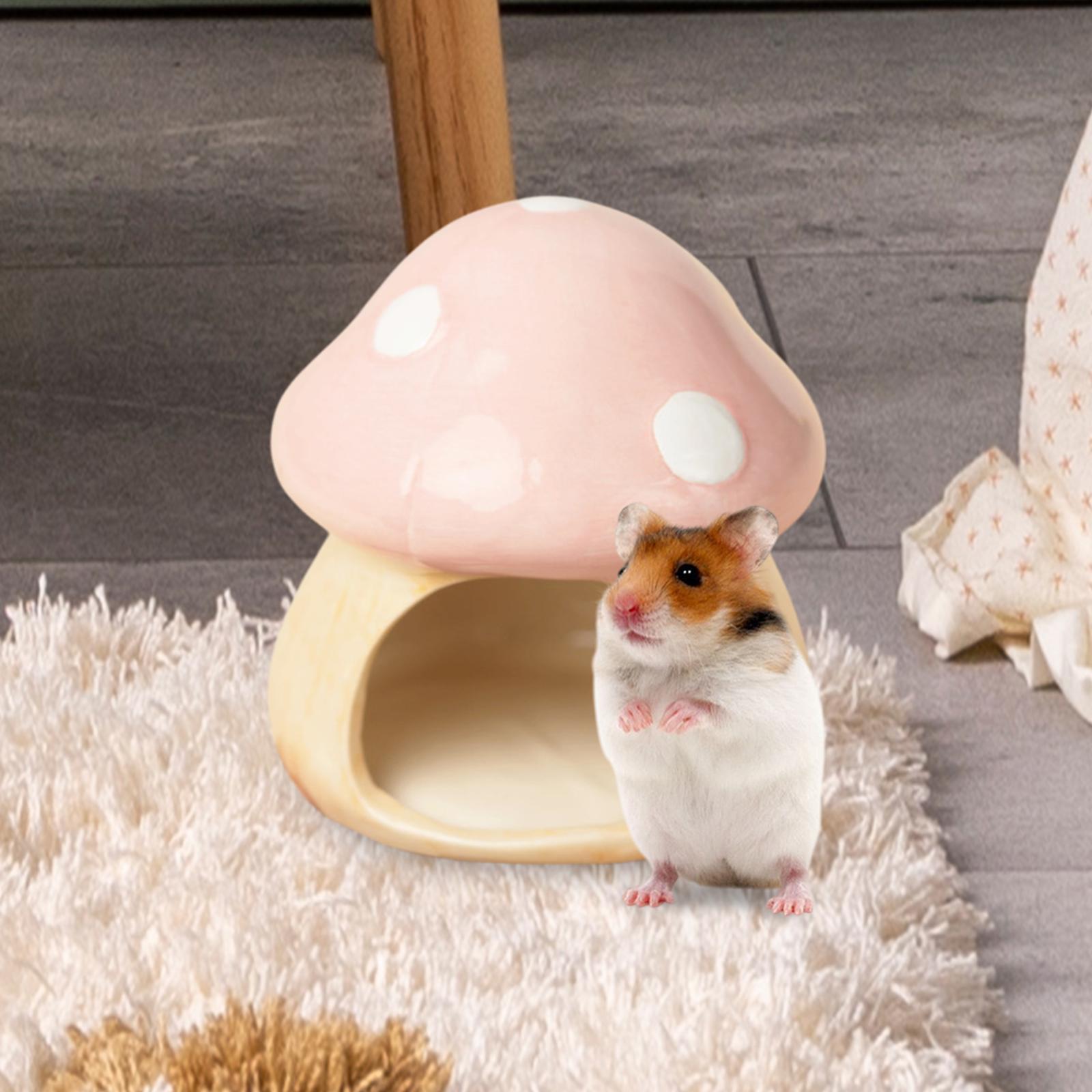 Ceramic Mushroom Hamster Hideo - Hide Cave Ceramic recensie en prijs