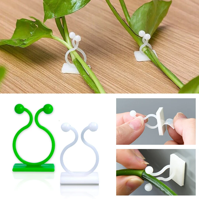 Plant Climbing Wall Self-Adhes - Vine Climbing Plastic recensie en prijs